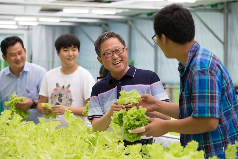 Rotarian Chi Soo Shin (second from right) chats with students while picking lettuce in the greenhouse at Andong Young-Myeong Special Education School in Andong, Korea. 26 August 2014. As part of a global grant project, the Rotary Club of Andong-Central, Andong, Korea, provided Andong Young-Myeong Special Education School with horticultural facilities and a vocational training program for students with intellectual disabilities, autism, and emotional disabilities.